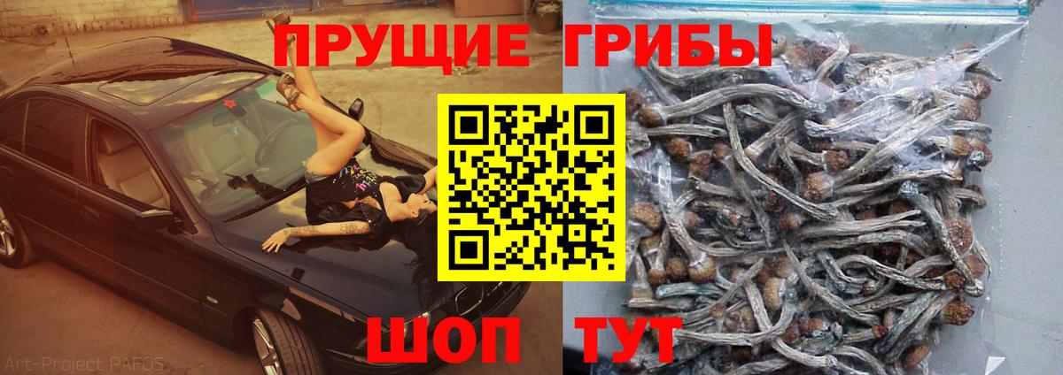 Псилоцибиновые грибы ЛСД Калининград
