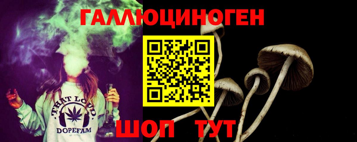 Калининград  Псилоцибиновые грибы MAGIC MUSHROOMS  Вход с VPN 