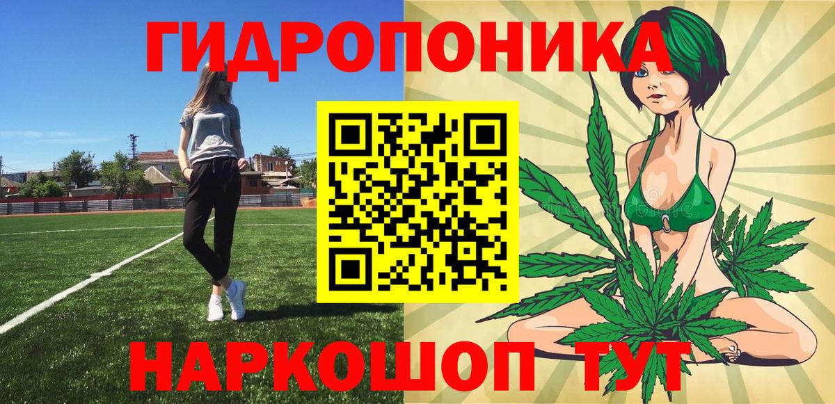 Марихуана индика  Вход с VPN  Марихуана сатива  Калининград  Каннабис планчик 